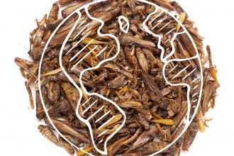 Eat Crawlers' World Edible Insect Day image